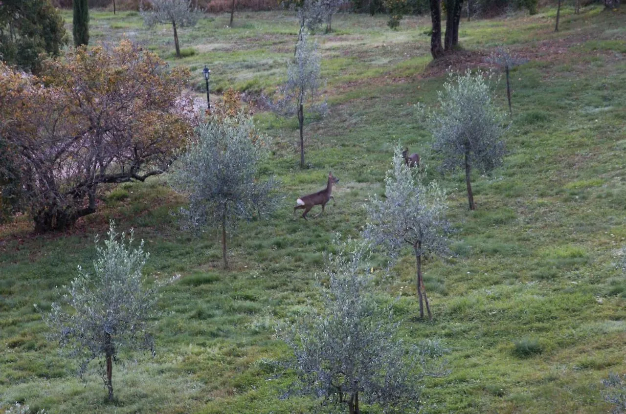 Podere Piandicava Castelnuovo di Val di Cecina Apartment
